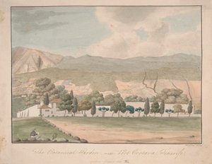 El Jardín Botánico cerca de Puerto Orotava, Tenerife de Alfred Diston
