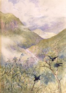 Mirando sobre los lirios: El valle de Nikko mirando hacia el este hacia la provincia de Shimo-no-Tsuke, c.1889 de Alfred East