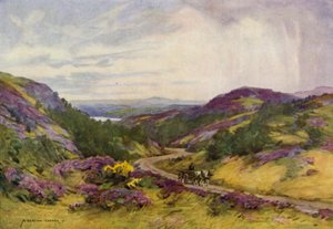 Dinamarca: Raebild Hills, cerca de Aalborg (litografia en color)