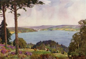 Dinamarca: Vejle Fiord, sur de Jutlandia (litografia en color)