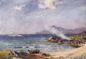 Quema de algas, Renvyle