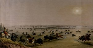  de Alfred Jacob Miller