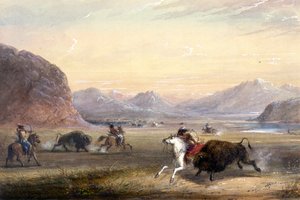 Caza de bisontes, cerca de Independence Rock de Alfred Jacob Miller