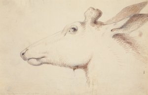 Alce. c.1837 (dibujo) de Alfred Jacob Miller