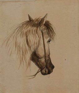 Cabeza de caballo de Alfred Jacob Miller