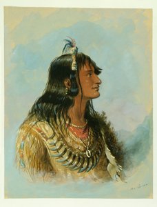  de Alfred Jacob Miller
