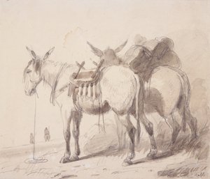 Mule Equipment, c.1837 (lápiz y aguada sobre papel)