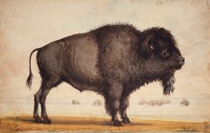Perfumando la brisa, c.1837 (acuarela sobre papel) de Alfred Jacob Miller