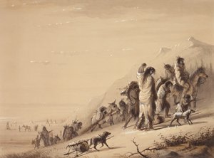 Serpientes indias migrando, c.1837 (pluma y tinta, lavado y gouache en papel)