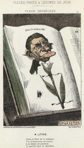 Flor desecada: caricatura sobre Littré - ilustración de 01/02/1871 en “Flores, Frutas y Verduras del Día”