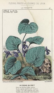 La Violeta: caricatura sobre Edgar Quinet - ilustración del 09/03/1871 en “Flores, Frutas y Verduras del Día”