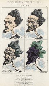 La Uva: caricatura sobre Henri Rochefort - ilustración del 09/02/1871 en “Flores, Frutas y Verduras del Día” de Alfred Le Petit