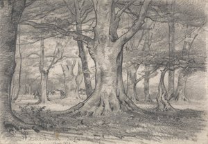Un paisaje forestal cerca de Boldrewood de Alfred Parsons
