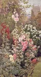 El Jardín