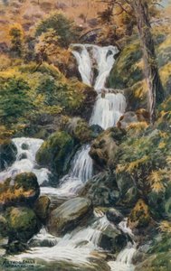 Cascadas de Arthog, cerca de Barmouth de Alfred Robert Quinton