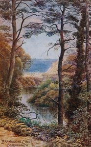Branksome Chine, Bournemouth de Alfred Robert Quinton