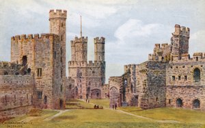 Castillo de Carnarvon, Interior
