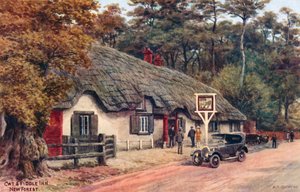 Posada del Gato y el Violín, New Forest