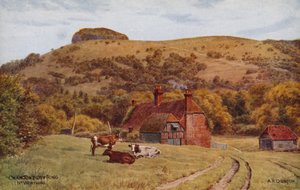 Chanctonbury Ring, Worthing