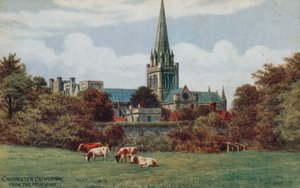 Catedral de Chichester, desde los prados