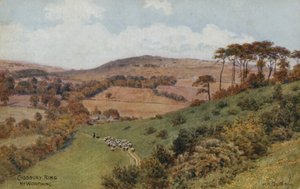 Cissbury Ring cerca de Worthing