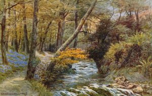 Groudle Glen, Isla de Man de Alfred Robert Quinton