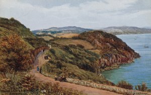 Paseo marítimo y Paseo de los Obispos, Torquay de Alfred Robert Quinton