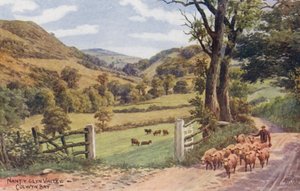 Valle de Nant Y Glyn, Colwyn Bay (litografía en color)