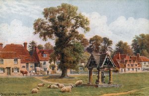 Ockley, Dorking