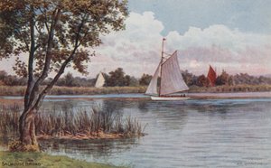 Salhouse Broad de Alfred Robert Quinton