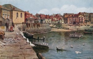Gaviotas en el puerto, St Ives, Cornwall