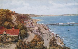 Shanklin, desde Rylstone, I O W de Alfred Robert Quinton
