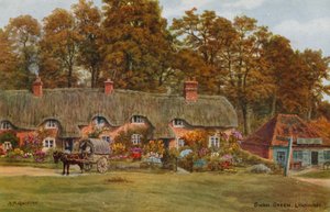 Swan Green, Lyndhurst de Alfred Robert Quinton