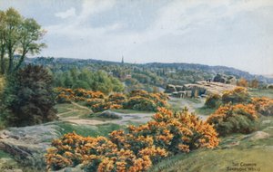 El Común, Tunbridge Wells de Alfred Robert Quinton