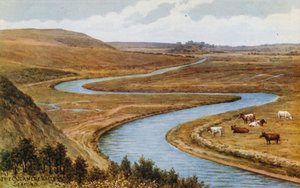 El Valle de Cuckmere, Seaford de Alfred Robert Quinton