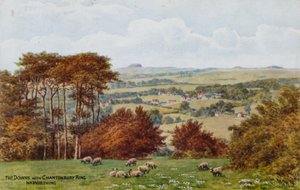 Las Downs con Chantonbury Ring, cerca de Worthing