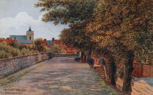 Las murallas del este, Chichester