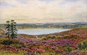 El Gran Estanque, Frensham
