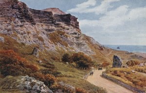 El Acantilado, Niton, Isla de Wight de Alfred Robert Quinton