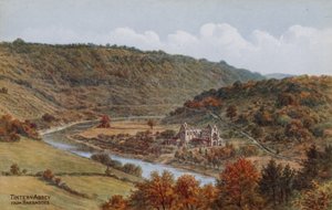 Abadía de Tintern, desde Barbados