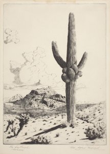 El Centinela (Sahuaro) (aguafuerte y aguatinta)