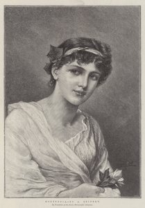 Hortensia de Alfred Seifert