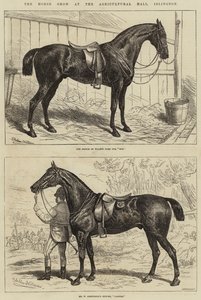 La exposición de caballos en el Agricultural Hall, Islington de Alfred Sheldon Williams