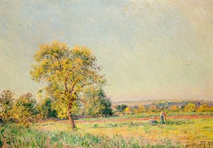 Un Día de Verano, 1886 de Alfred Sisley