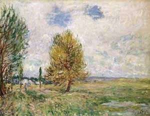 La llanura de Veneux-Nadon, 1881 de Alfred Sisley