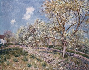 Primavera en Veneux, 1880 de Alfred Sisley