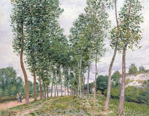 La avenida de los álamos a lo largo de las orillas del Loing de Alfred Sisley