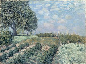 Los huertos del mercado de Alfred Sisley
