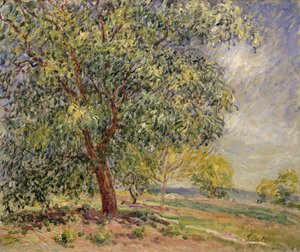 Nogal en Sablons en primavera, 1885 de Alfred Sisley