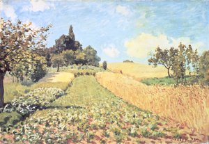 Campo de trigo (óleo sobre lienzo)